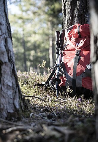 Wanderung am Salten in Jenesien 