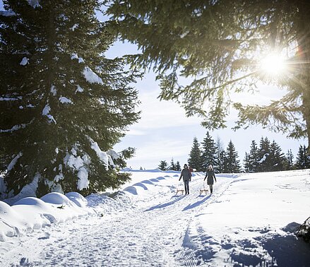 Winterwandern am Salten in Jenesien