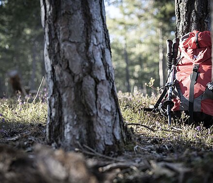 Luxus-Hideaway in Südtirol zum Wandern